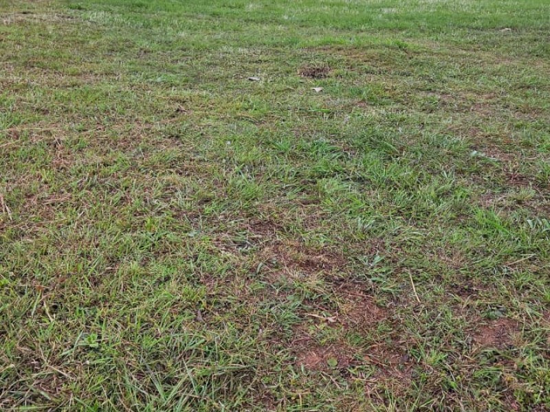 Terreno no Codomínio St Rita Em Colombo
